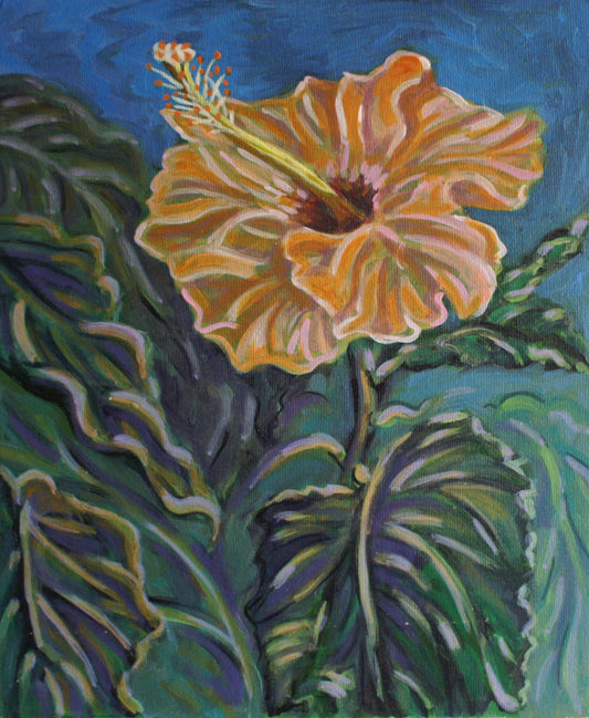 Hibiscus - Rose of China