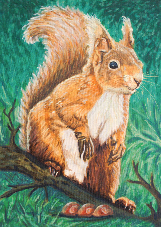 Red Squirrel