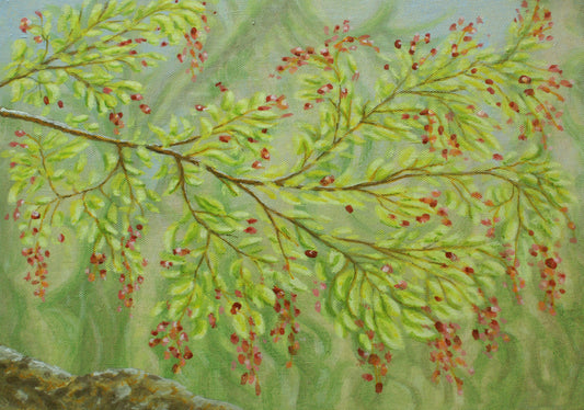 A Study of Spring